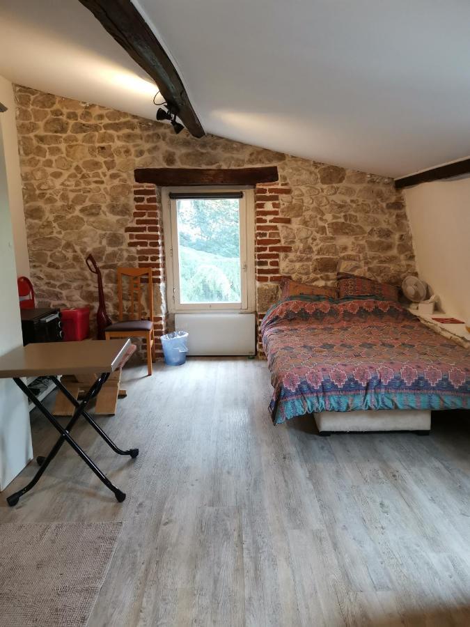 Studette De Jeanne Appartement Orléans Buitenkant foto